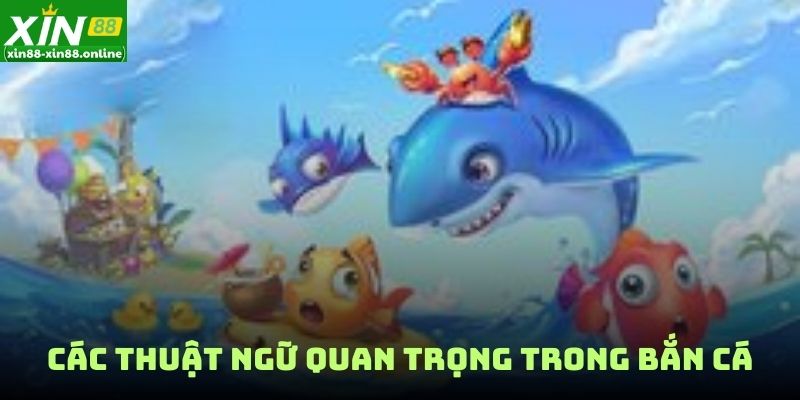 Các thuật ngữ quan trọng trong bắn cá