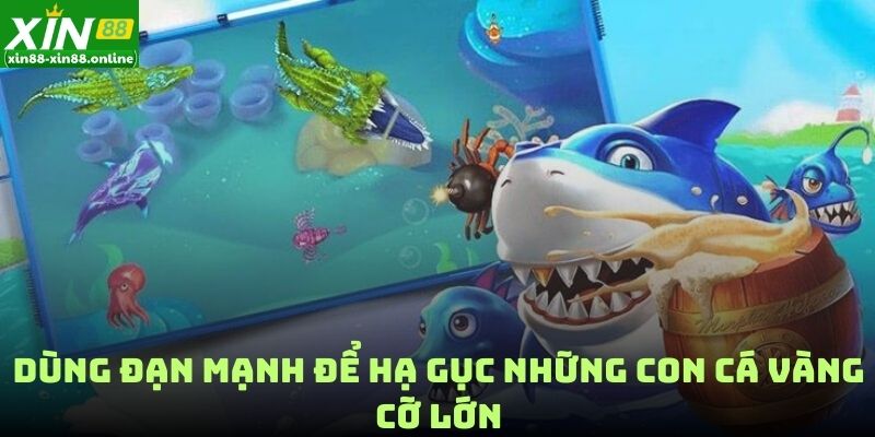 Dùng đạn mạnh để hạ gục những con cá vàng cỡ lớn
