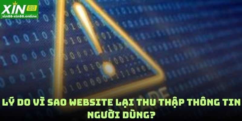 Lý do vì sao website lại thu thập thông tin người dùng?