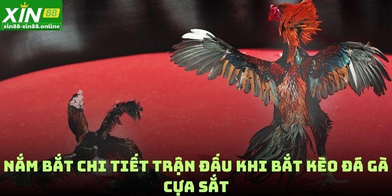 Nắm bắt chi tiết trận đấu khi bắt kèo đá gà cựa sắt