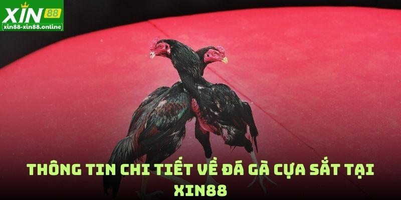 Thông tin chi tiết về đá gà cựa sắt tại XIN88
